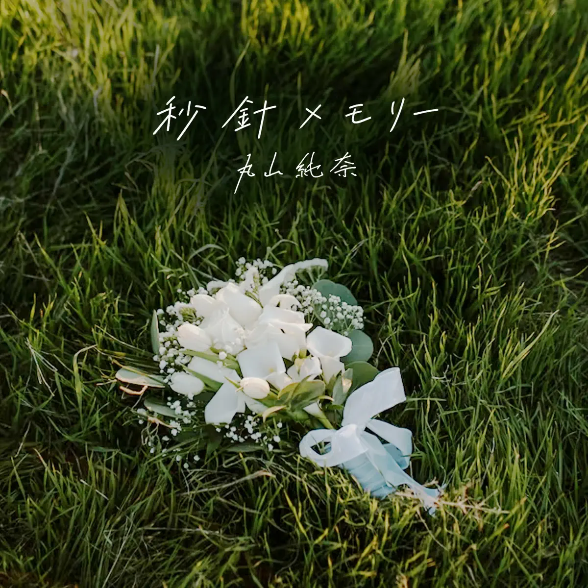 丸山純奈 - 秒針メモリー - Single (2026) [iTunes Plus AAC M4A]-新房子