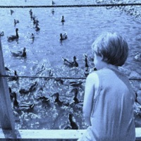 south for the winter - Single - devvn