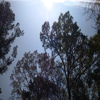 Tough People Remaster - Single