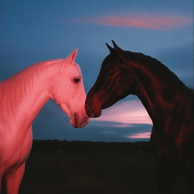 VERDEN VAR IKKE MENT FOR OSS - Single