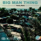 Big Man Thing artwork