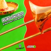 Puro Jalisco - Single - Jose Ignacio Dj