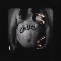 Hive Mind (feat. Denzel Curry) - Single - Knocked Loose