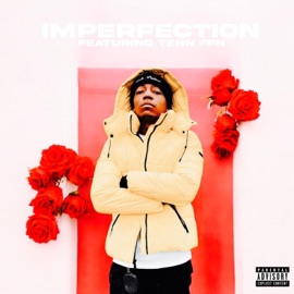 Imperfection (feat. Tenn FFN) Jordan Tyrell
