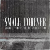 Small Forever song art