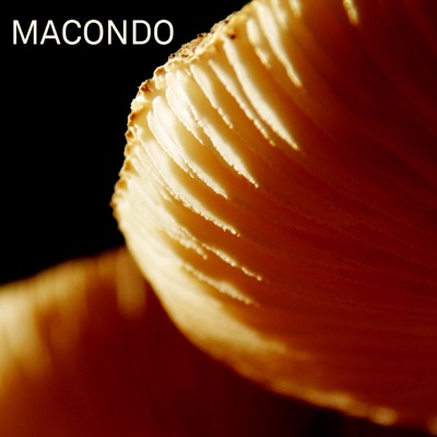 Macondo (feat. Sylvain Debaisieux, Angelo Moustapha & Federico Stocchi) - EP