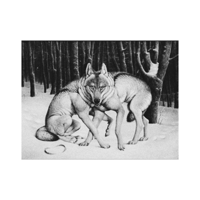 C.E.N.T.A.U.R.I (feat. ETEIS) - Single