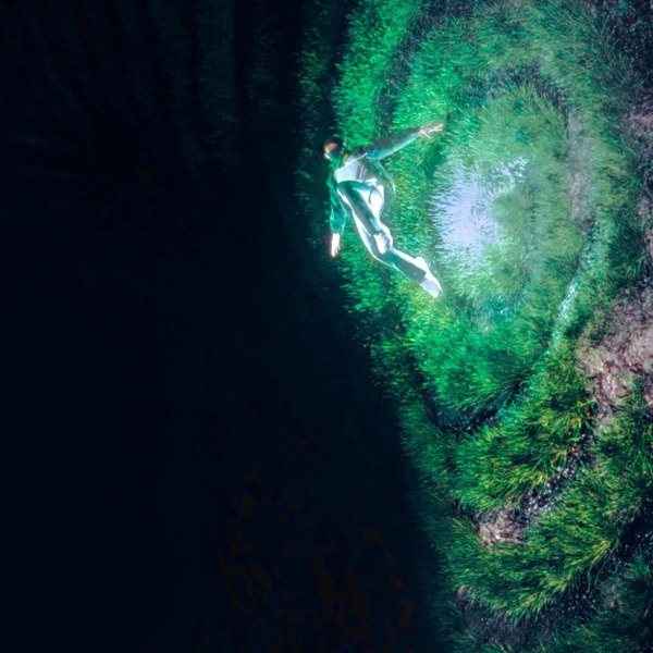 Never Fall
