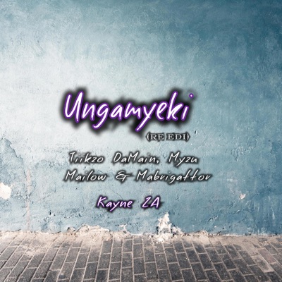 Ungamyeki (feat. Tiikzo DaMain, Myzu x Mailow & Mabrigattor) [Re Edit] - Single