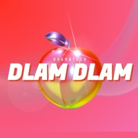 Dlam Dlam (Guaratech) [feat. Ricardo Castro] - Single - Dhoven Gards, After King & Karim Cruz