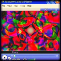 wtf happened - Single - Tikkit