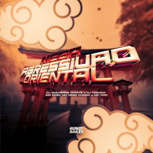 Mega Agressivão Oriental (feat. MC NEGO PUMMA & MC VDC)
