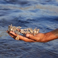 Sing My Songs For You - Single - Lando Chill