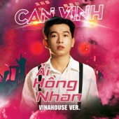 Ải Hồng Nhan (Vinahouse) artwork