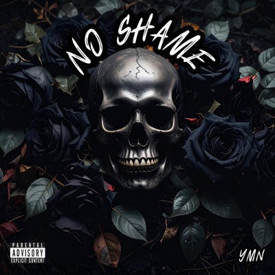 No Shame - Single