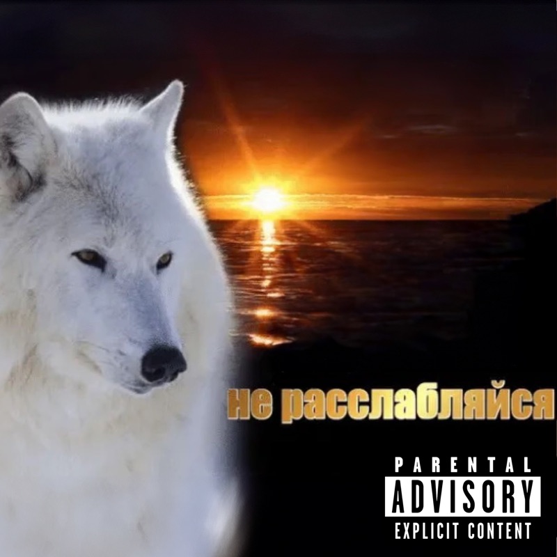не расслабляйся by Skryptonite album cover