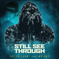 Still See Through (feat. Mr. Hop) - Single - Lui la Lean