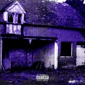 i will get you back home AVXiD