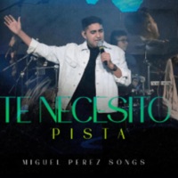 Te necesito Pista - Single - Miguel Songs