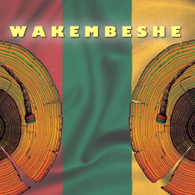Wakembeshe (feat. King Steppah & Lyrical Karpel) - Single
