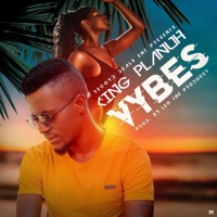 Vybes - Single - King Planuh