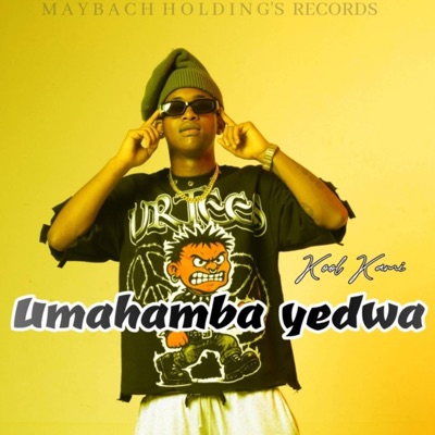 Umahamba Yedwa (feat. Feestow Rsa, Cliche & Chef Tee) - Single