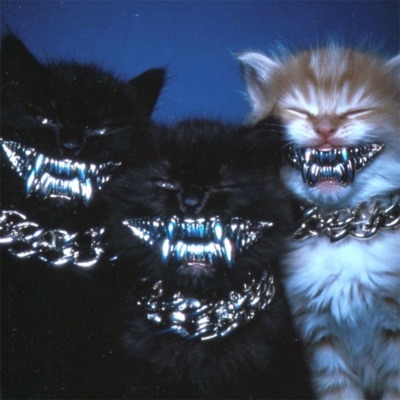 SWAGG - Single