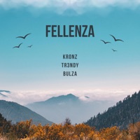 Fellenza (feat. Bulza Havolli) - Single - Tr3ndy & KRONZ