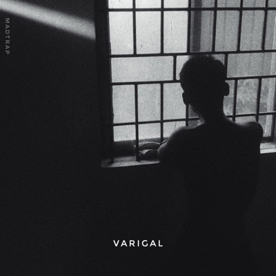 VARIGAL (feat. VIBE) - Single