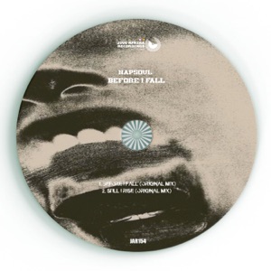 Before I Fall - Single