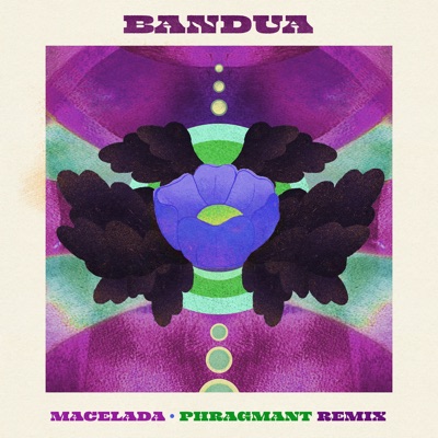 Macelada (Phragmant Remix) - Single