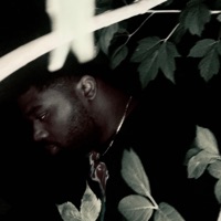 Howling at the Void - Single - LoveVanni.