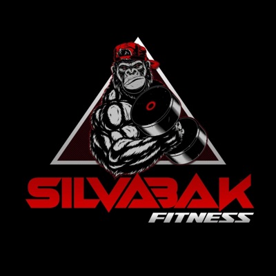 Silvabak Takeover - Single