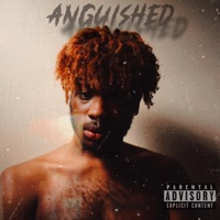 Anguished By The End - Randeezy