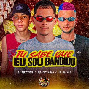Tu Sabe Que Eu Sou Bandido