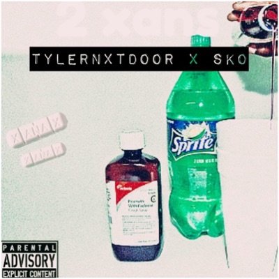 2 Xans (feat. Sko) - Single