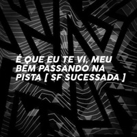 É QUE EU TE VI MEU BEM PASSANDO NA PISTA (feat. Mc Luan Da Bs) - Single - SF SUCESSADA