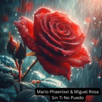 Sin Ti No Puedo - Single - Mario Phaenixx! & Miguel Rosa