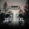NUM TEMPORAL