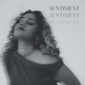 Sentiment (feat. Konny Kon) artwork