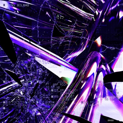 RNS BILBAO EXTENSION