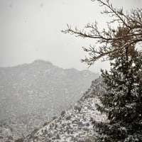 Mood Of Isaiah 55:10 - Single - The Naturalist