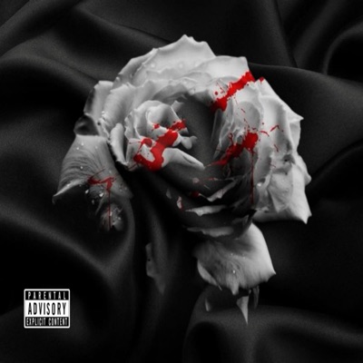 Don’t Do Dat - Single