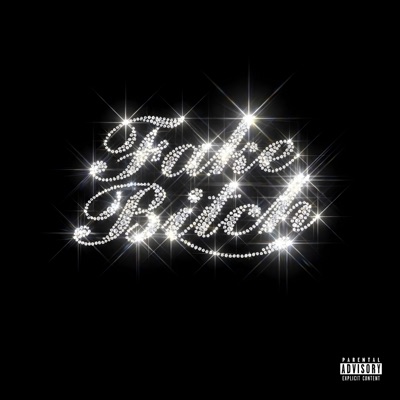Fake Bitch - Single