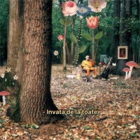 Invata de la toate - Single - Skizzo Skillz & Balteshi