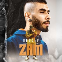 Doucep (feat. Mccólogos) - Single - Znake
