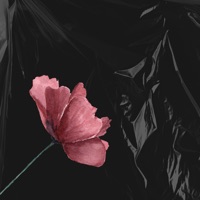 Angel - Single - See Pro