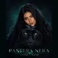 Pantera Nera