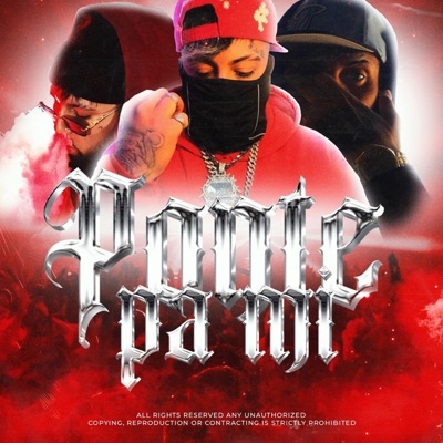 Ponte pa mi (feat. $1R LR & Jam flight) - Single