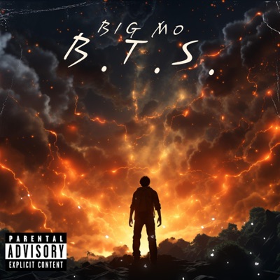 B.T.S. - Single